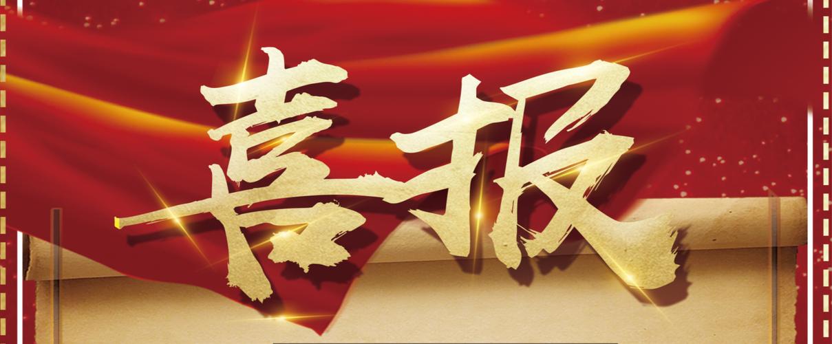 蜘蛛池推广